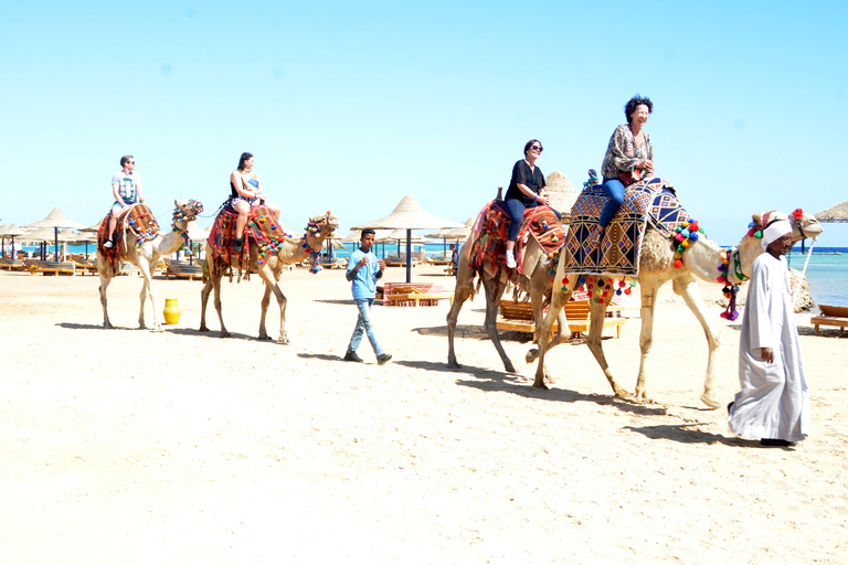 Hurghada: Paseo en camello por el mar y el desierto con cena, espectáculo y observación de las estrellasHurghada: 2 horas de paseo en camello solamente