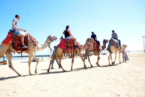 Hurghada: Paseo en camello por el mar y el desierto con cena, espectáculo y observación de las estrellasHurghada: 2 horas de paseo en camello solamente