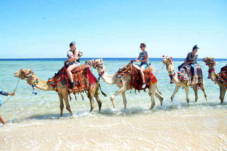 Hurghada: Paseo en camello por el mar y el desierto con cena, espectáculo y observación de las estrellasHurghada: 2 horas de paseo en camello solamente