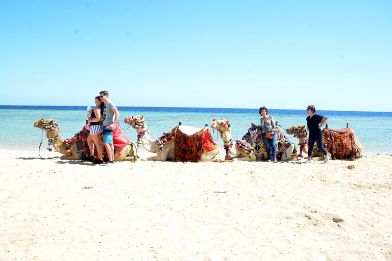 Hurghada: Paseo en camello por el mar y el desierto con cena, espectáculo y observación de las estrellasHurghada: 2 horas de paseo en camello solamente