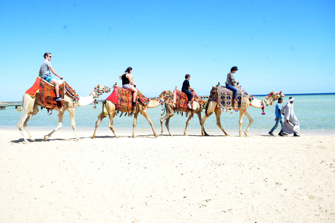 Hurghada: Paseo en camello por el mar y el desierto con cena, espectáculo y observación de las estrellasHurghada: 2 horas de paseo en camello solamente