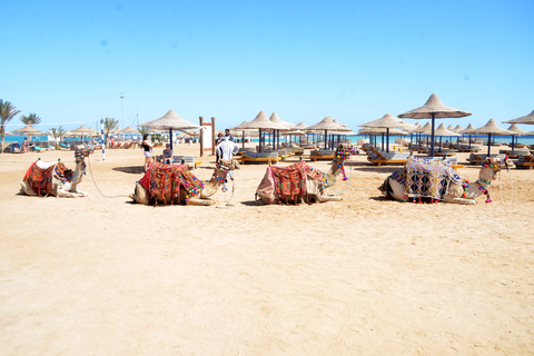 Hurghada: Paseo en camello por el mar y el desierto con cena, espectáculo y observación de las estrellasHurghada: 2 horas de paseo en camello solamente