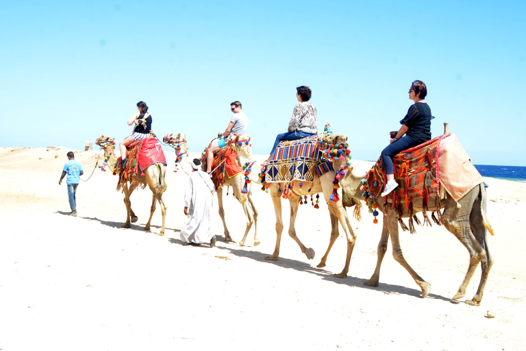 Hurghada: Paseo en camello por el mar y el desierto con cena, espectáculo y observación de las estrellasHurghada: 2 horas de paseo en camello solamente