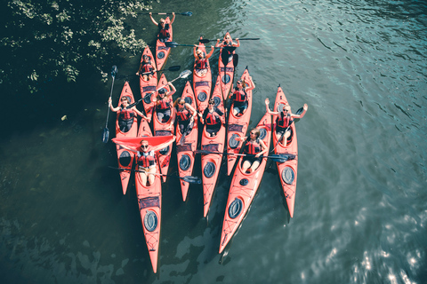 Stoccolma: tour guidato di 2 ore in kayak nel centro della cittàStoccolma: tour guidato in kayak nel centro città