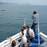 Genova: biglietto per l'Acquario e crociera per l'osservazione balene