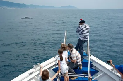 Genua: Aquarium-Ticket & Walbeobachtung-Bootstour