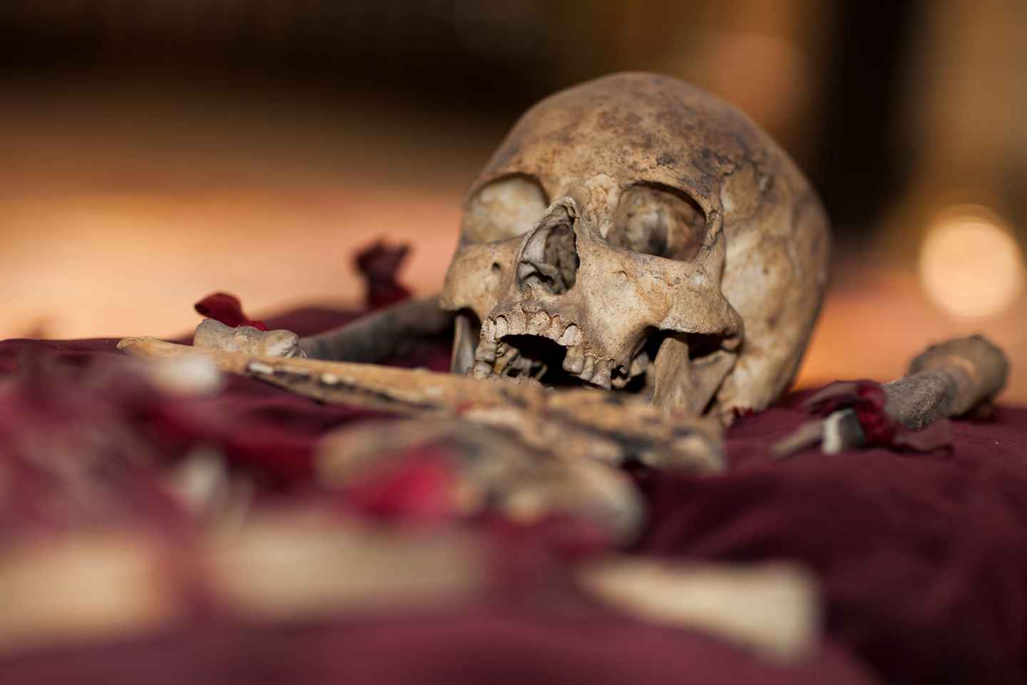 Teplice: Konungleg Heilsulindardagferð frá Prag