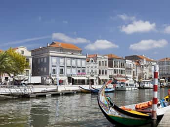 Aveiro: Half Day Tour with Boat Ride