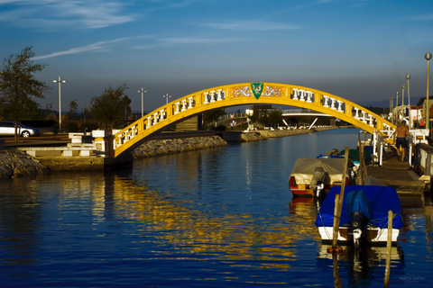 Aveiro : visite d’une demi-journée avec croisière