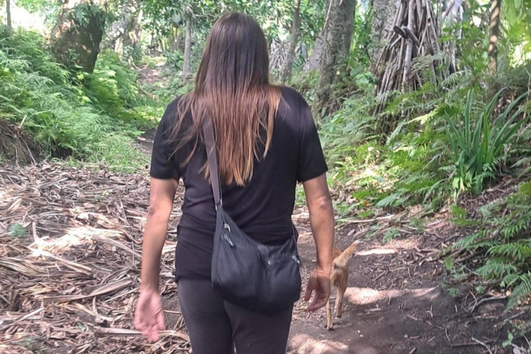 Wyspa Tanna: wulkan Yasur i wędrówka do gorących źródeł