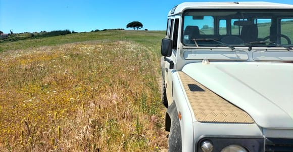 Lissabon: Weingut, Verkostung, Geländewagen, Weinberge, halbtägiger Privatausflug