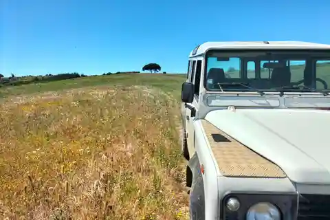 Bodegas, Catas y Viñedos en 4x4: Excursión de medio día desde Lisboa