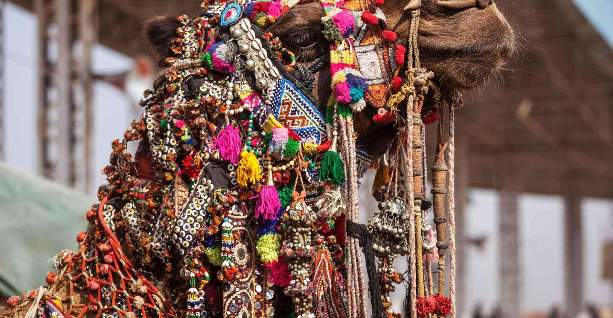 Holy Pushkar and Ajmer Trails (Guided Full Day Tour) - Housity