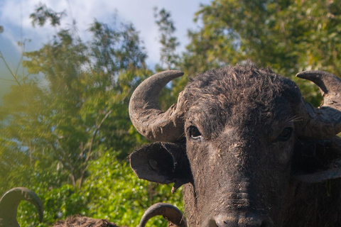 Bacalar: Calakmul, Palenque with a unique stop in the heart of the savanna Bacalar: Calakmul, Palenque with a unique stop in the heart of the savannah