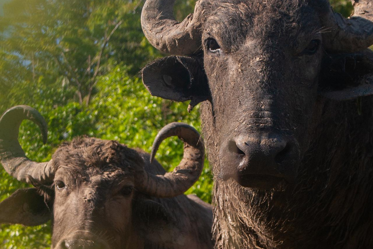 Bacalar: Calakmul, Palenque with a unique stop in the heart of the savanna Bacalar: Calakmul, Palenque with a unique stop in the heart of the savannah