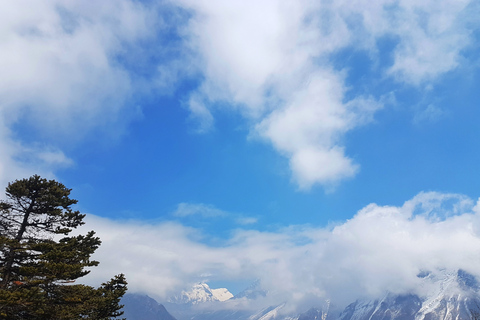 Camp de base de l'Everest: visite guidée en hélicoptère de 3 heuresVisite guidée partagée en hélicoptère Everest