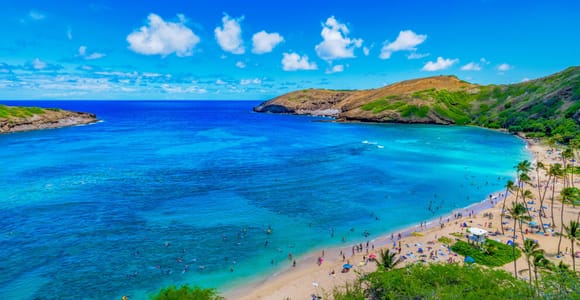 Oahu: Circle Island Top Sights Full-Day Tour w/ Local Guide