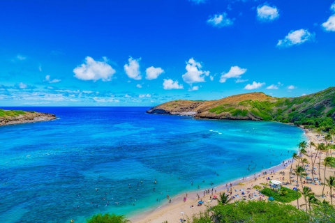 Waikiki : Tour de 120 miles de l'île d'Oahu en une journéeVisite avec déjeuner inclus