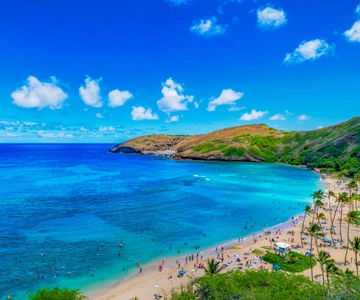 Oahu: Circle Island Top Sights Full-Day Tour w/ Local Guide