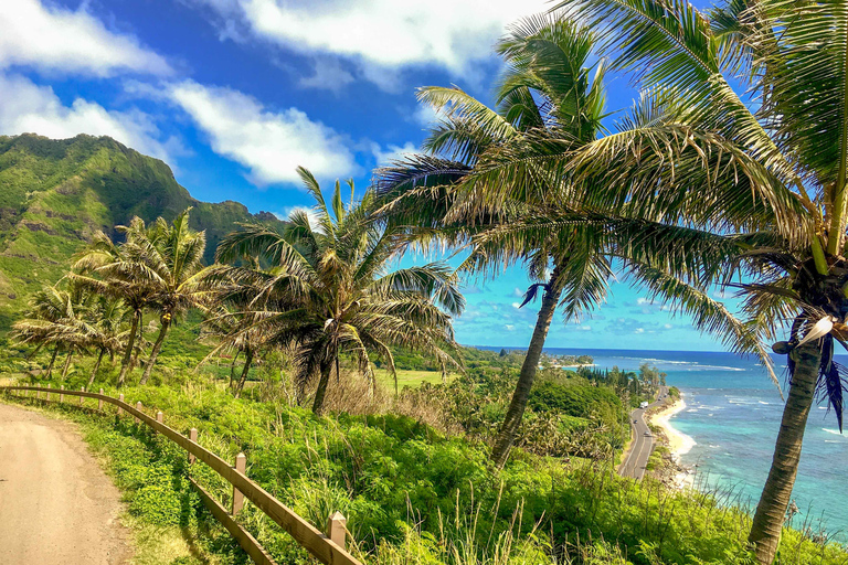 Oahu: Heldagstur till öns höjdpunkter med transfer