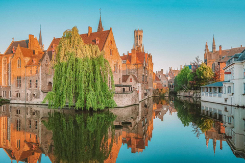 Tour privato: Gand e Bruges da Bruxelles Intera giornata