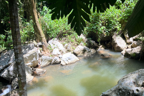 Caguas : Aventure dans les cascades et les grottes