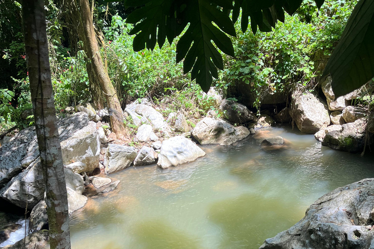 Caguas : Aventure dans les cascades et les grottes