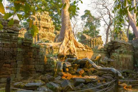 Hidden gems