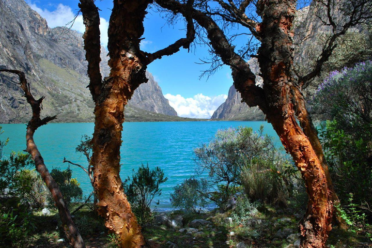 Från Huaraz: Spännande resa till Chinancocha-lagunen