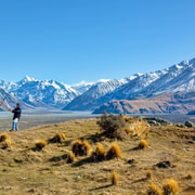 From Christchurch: Full-Day Lord of the Rings Tour to Edoras
