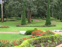 From Mandalay, Full Day Excursion To Pyin Oo Lwin (Maymyo) - Housity