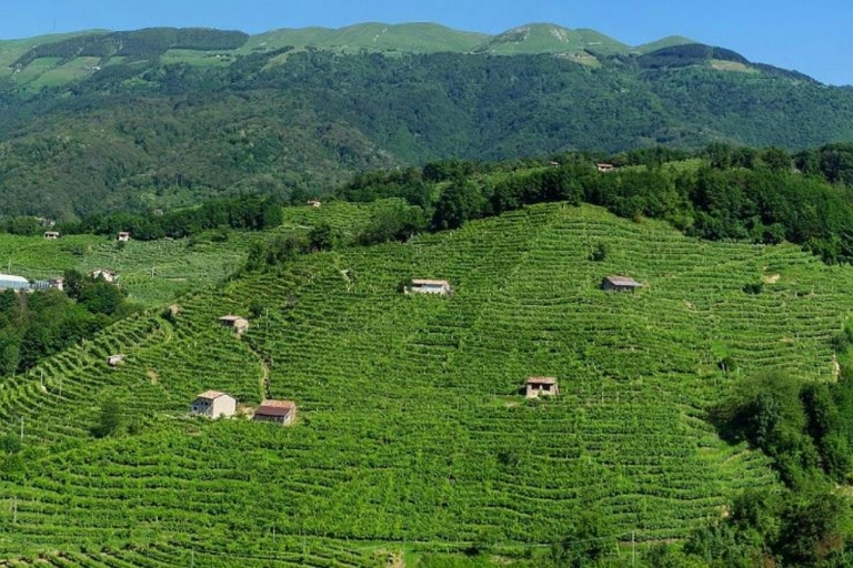 Ruta del Prosecco: Excursión de un día completo y cata de vinosTour en inglés
