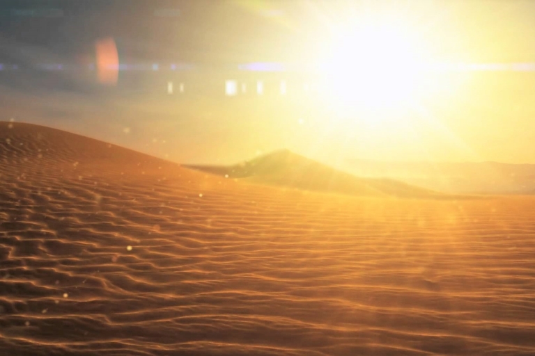 Doha: zonsopgang, duinen bashen, kameelrijden en zandboardenDoha: woestijnsafari bij zonsopgang met kameelrit en zandboarden