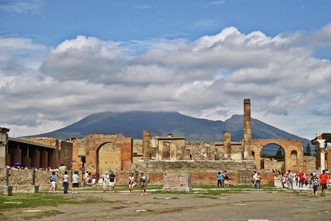 Napoli: Pompei, Vesuvio e tour di degustazione di vini