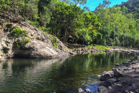 Mauritius: Wanderung im Black River Gorges Nationalpark