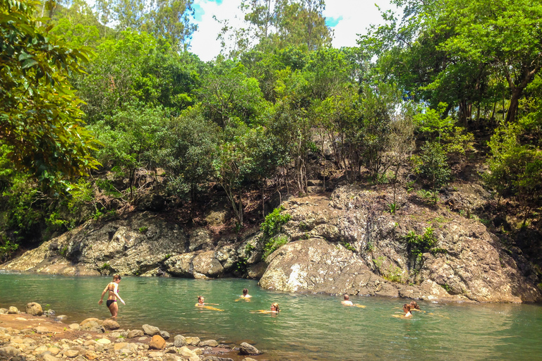 Mauritius: trektocht 3 uur nationaal park Black River Gorges