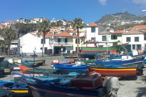 Desde Funchal: recorrido por el oeste de MadeiraTour privado