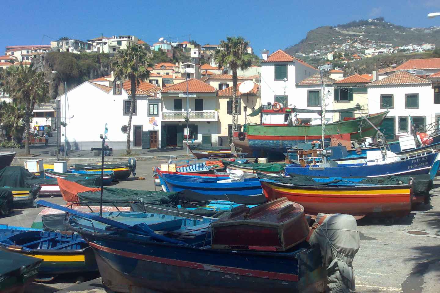 From Funchal: West Madeira Waterfalls and Fanal Forest Tour