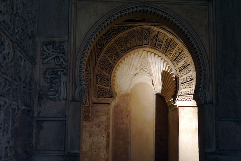 Granada: Alhambra and Nasrid Palaces Guided Tour at NightShared Group Tour in Spanish