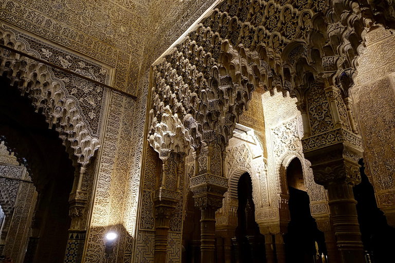 Granada: Alhambra and Nasrid Palaces Guided Tour at NightShared Group Tour in Spanish