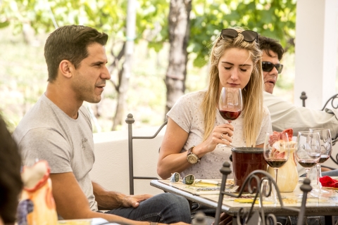 Mont Vésuve : Visite d'un vignoble avec dégustation de vins et déjeunerDégustation de vins classiques