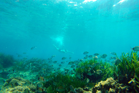 Cabo de Gata: Natural Park Kayaking and Snorkel Excursion