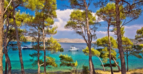 Zadar: Dugi Otok Speedboat Tour with Snorkeling