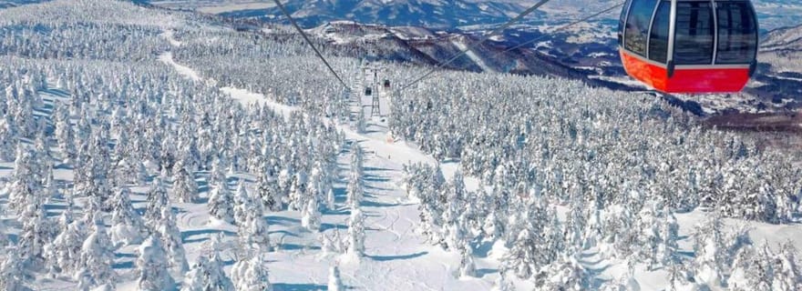 Sendai : Ginzan Onsen, téléphérique de Zao, monstres de neige et déjeuner