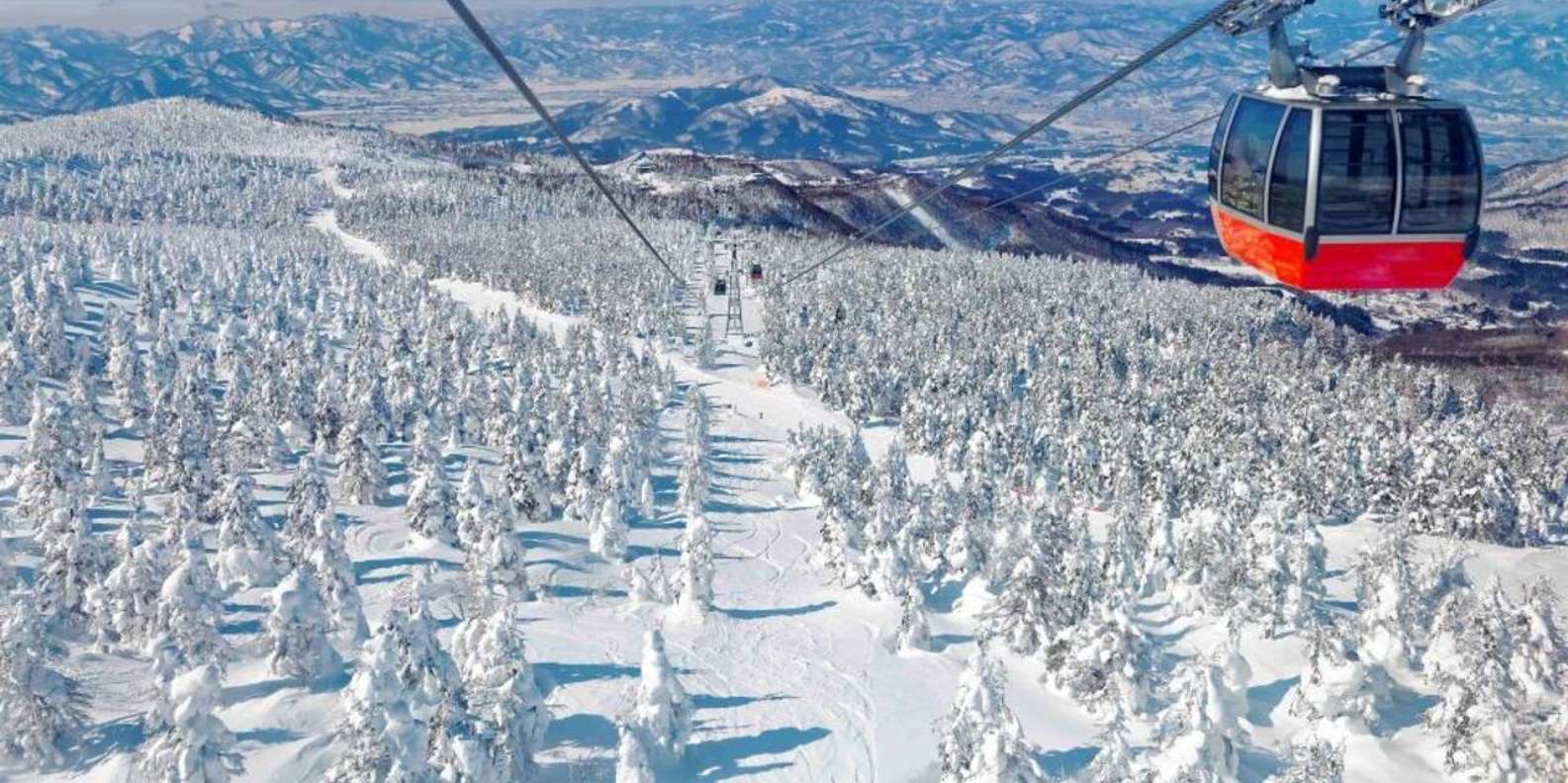 門松 at 5kg 99.jpg