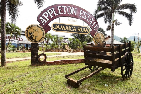 Tour de Ron Appleton EstateTour desde los hoteles de Kingston: Appleton Estate Rum Tour