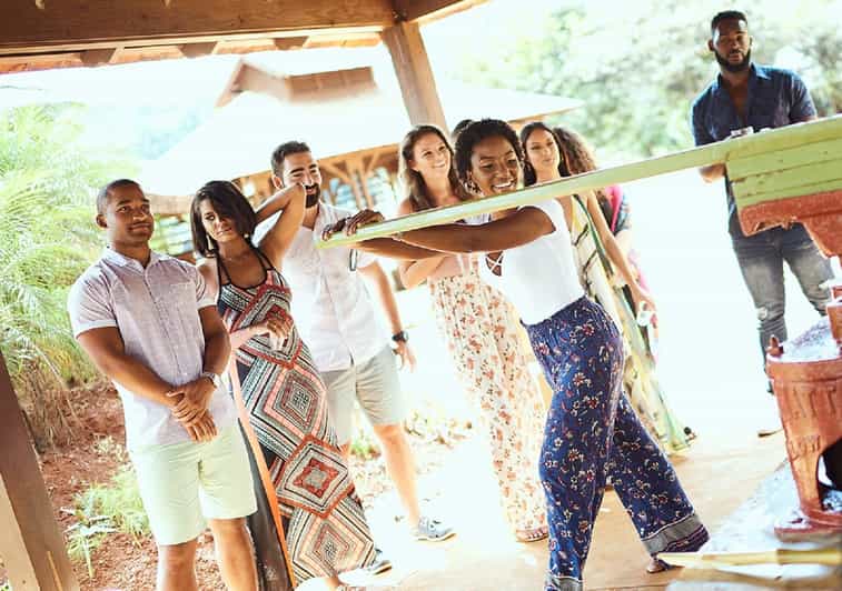 Appleton Estate Rum Tour GetYourGuide