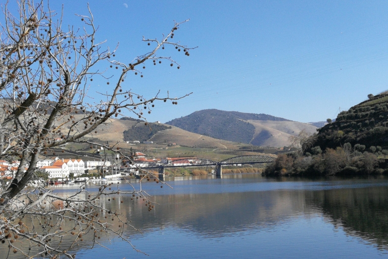 Porto: Autentyczna mała grupa Douro Valley Tour