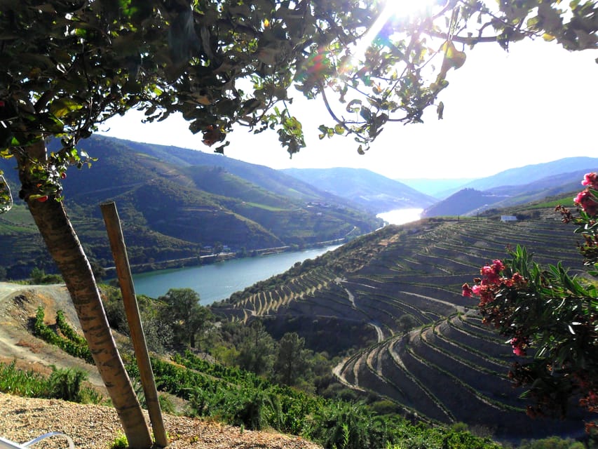 Porto Authentic Private Douro Valley Tour Getyourguide