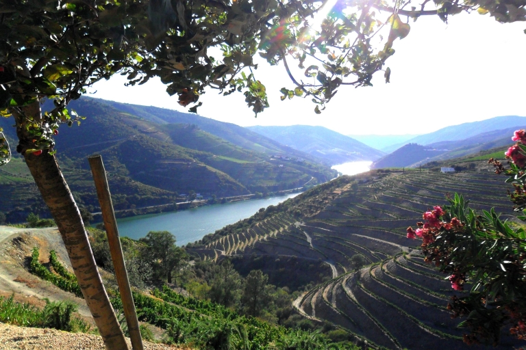 Porto: visite authentique de la vallée du Douro en petit groupePorto: Tour authentique de la vallée du Douro en petit groupe